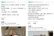 梦见香菜闲鱼：LABUBU搜索量环比上涨1000%，供不应求下现租赁新形式