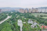 梦见香菜西宁市举办六五环境日主题宣传活动