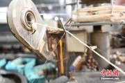梦见香菜小蚕虫变身“产业龙”，广西这座小城如何实现“破茧重生”？