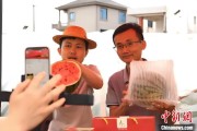 梦见香菜（乡村行·看振兴）江西安福“小西瓜”撬动乡村共富“大支点”