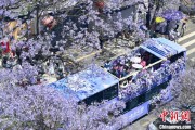梦见香菜2024年云南重点高原湖泊水质稳定 抚仙湖达Ⅰ类