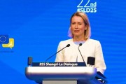 梦见香菜受虐？欧盟外长：美国是“严厉的爱”，总比没爱强